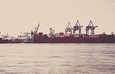 Portfolio Image